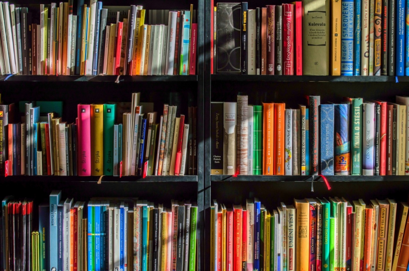 magasin-BEAULIEU SUR MER-min_books_bookstore_book_reading_shop_writer_sale_books_read-822866